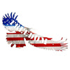 Personalized Freedom Eagle