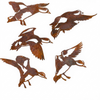WIGEON FLOCK