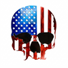 American Flag Skull