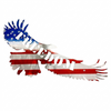 Personalized Freedom Eagle