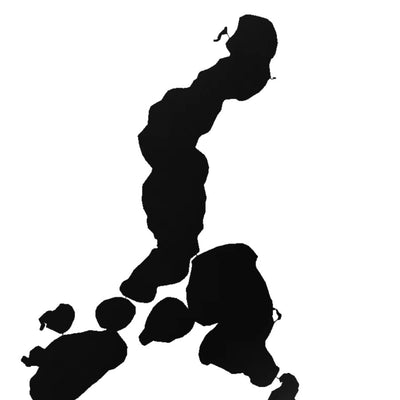Lake Carlos (MN) lake silhouette