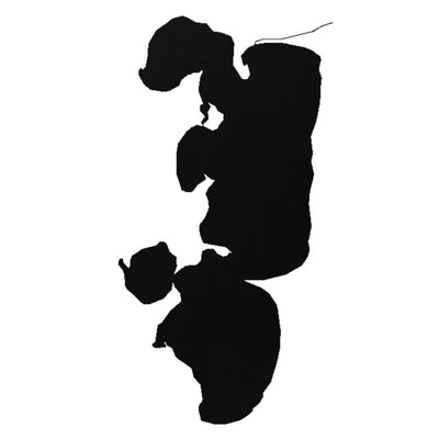 Lake Ida (MN) lake silhouette