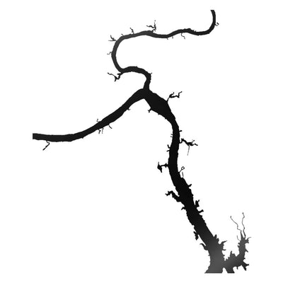 Lake LBJ (TX) lake silhouette